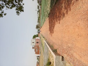  Plot For Sale in Karnera Village