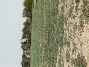 Plot – Garden View at Karnera Village - for Sale