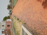 67 Sq.Yd. Plot in Karnera Village