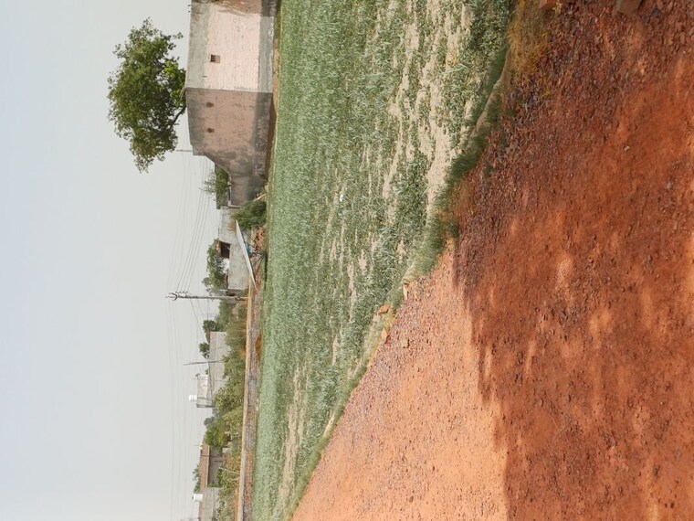 undefined, karnera village  67 Sq.Yd. Plot In Karnera Village Faridabad 10554682