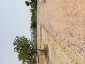 Plot Area in  Plot at Karnera Village – for Sale