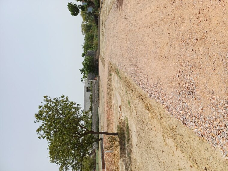 undefined, karnera village  67 Sq.Yd. Plot In Karnera Village Faridabad 10554682