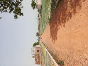  Plot For Sale in Karnera Village