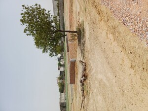  Plot – Exterior View View at Karnera Village - for Sale