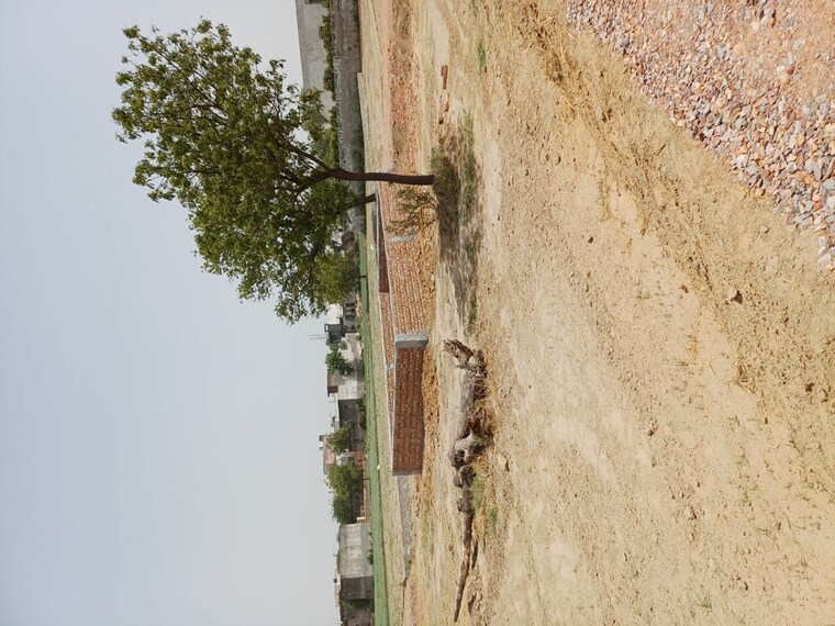 Exterior View, karnera village  68 Sq.Yd. Plot In Karnera Village Faridabad 10554716
