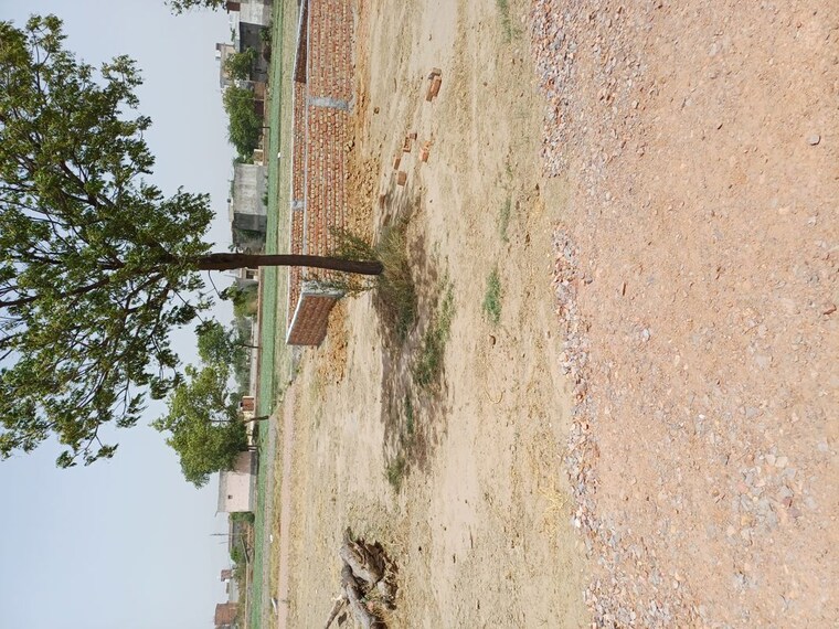 undefined, karnera village  71 Sq.Yd. Plot In Karnera Village Faridabad 10554739