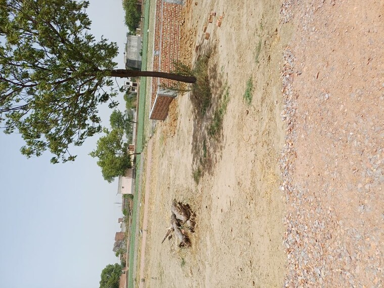 undefined, karnera village  72 Sq.Yd. Plot In Karnera Village Faridabad 10554747