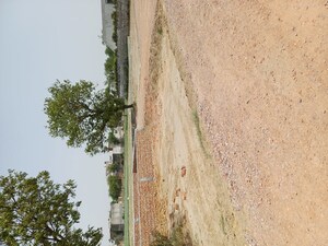   Plot at Karnera Village – for Sale
