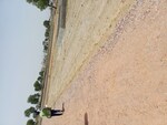 75 Sq.Yd. Plot in Karnera Village