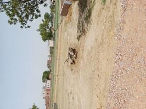Plot Area in  Plot at Karnera Village – for Sale