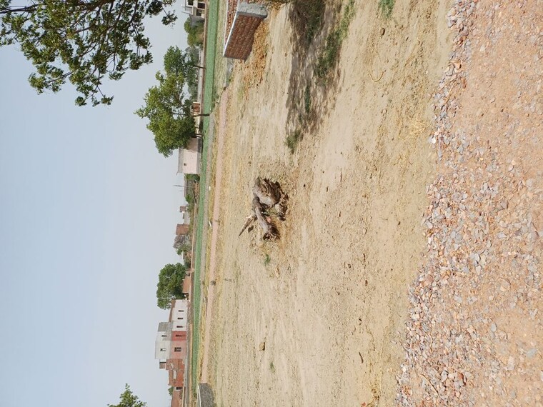 undefined, karnera village  75 Sq.Yd. Plot In Karnera Village Faridabad 10554761