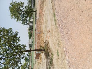   Plot at Karnera Village – for Sale