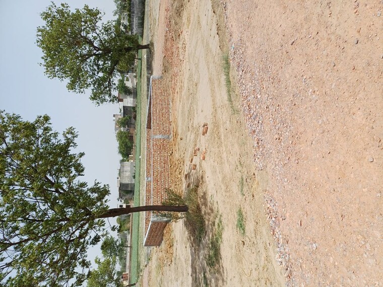 undefined, karnera village  75 Sq.Yd. Plot In Karnera Village Faridabad 10554761