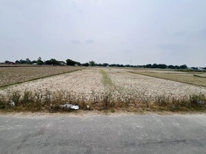  Plot For Sale in Payagpur