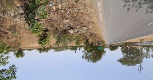 Plot Area in  Plot at Takori – for Sale