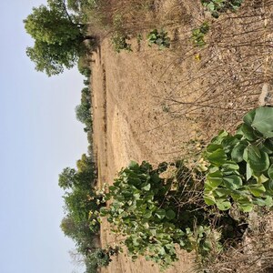 Plot Area in  Plot at Takori – for Sale