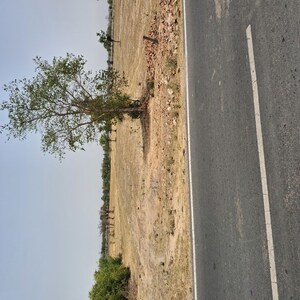  Plot – Exterior View View at Takori - for Sale