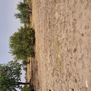  Plot For Sale in Takori