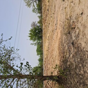 Plot Area in  Plot at Takori – for Sale