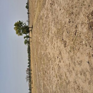 Plot Area in  Plot at Takori – for Sale