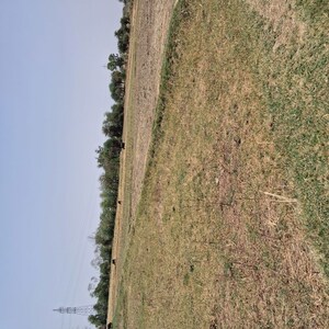 Plot Area in  Plot at Takori – for Sale