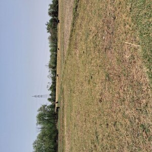 Plot Area in  Plot at Takori – for Sale