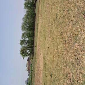 Plot Area in  Plot at Takori – for Sale