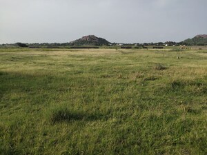 Plot Area in  Plot at Arepally – for Sale