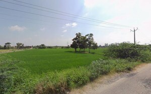  Land For Sale in Hassanpur Prohtan