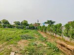 117 Sq.Yd. Plot in Newstone Coral Park