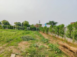  Plot For Sale in Newstone Coral Park, Sector 84a