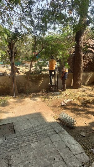 Plot Area in 3 BHK Apartment at Ambawadi – for Rent
