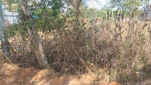  Plot For Sale in Jakkuru