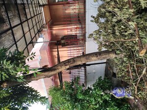 6+ BHK Villa – Exterior View View at Sector 55 - for Sale