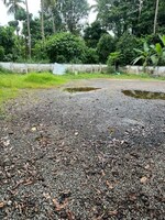 12196 Sq.Ft. Land in Nadathara