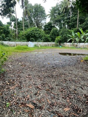 Plot Area in  Land at Nadathara – for Sale