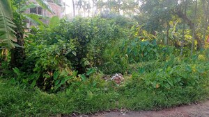  Plot For Sale in Kolkatta Gpo