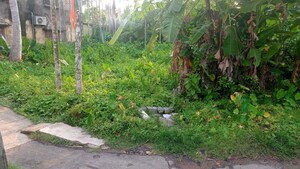 Plot Area in  Plot at Kolkatta Gpo – for Sale