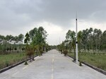 212 Sq.Yd. Plot in Biharigarh