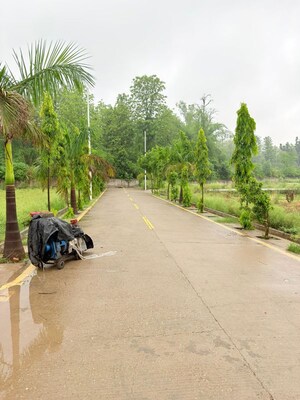 Plot Area in  Plot at Khushalipur – for Sale