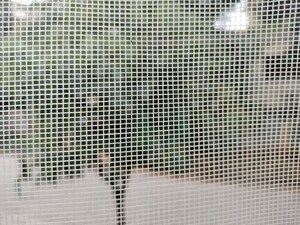 Bathroom in 3 BHK Apartment at GHR Titania, Kondapur – for Rent