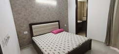 2.5 BHK + Prayer Room,Servant Room,Study Room,Extra Room,Basement,Store Room Builder Floor For Rent in Smart World Orchard