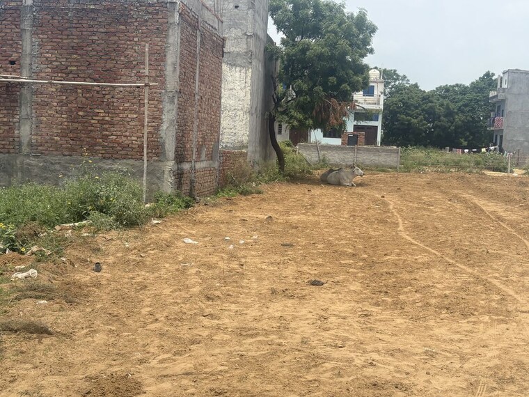 undefined, bhondsi  100 Sq.Yd. Plot In Bhondsi Gurgaon 10556410
