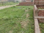 909 Sq.Ft. Plot in Sabhapur