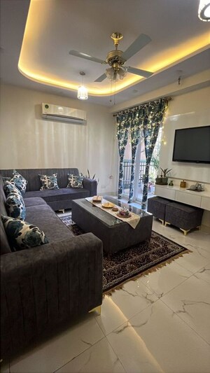 Living Room in 3 BHK Builder Floor at Sector 22 – for Rent