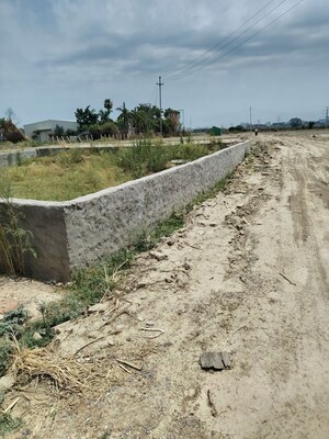 Plot Area in  Plot at Sector 148 – for Sale