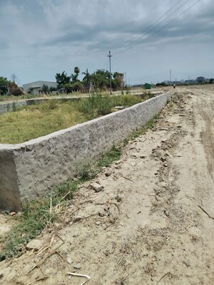 Plot Area in  Plot at Sector 148 – for Sale