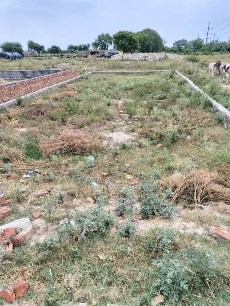 undefined, sector 148  100 Sq.Yd. Plot In Sector 148 Noida 10556653