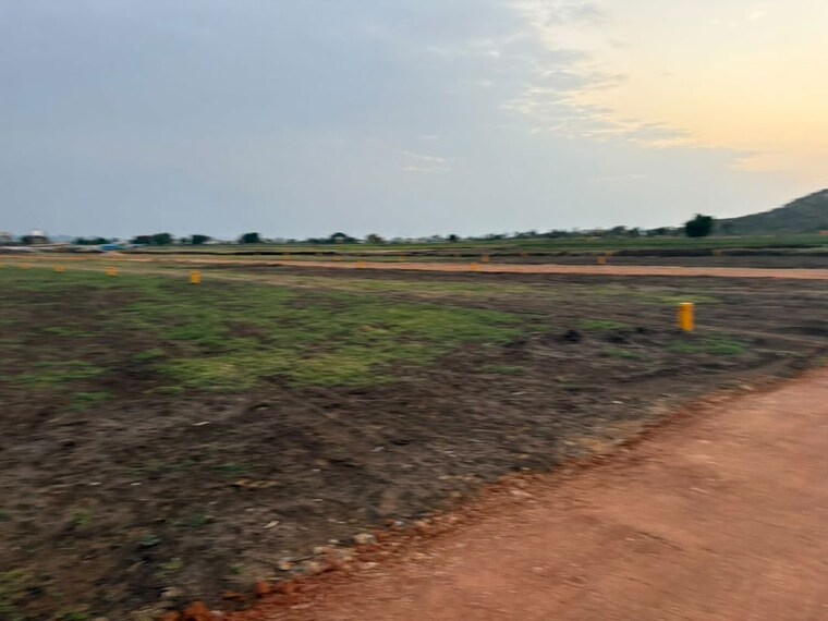 undefined, vuyyuru  1400 Sq.Ft. Plot In Vuyyuru Krishna 10556713