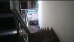 2 BHK 600 Sq.Ft. Builder Floor in Govindpuri